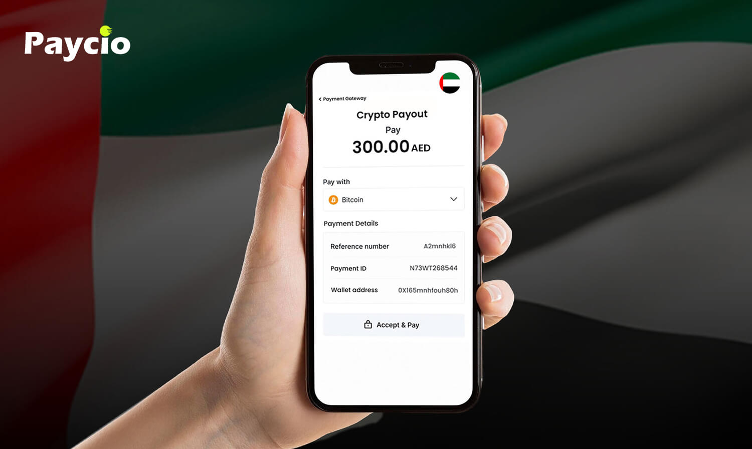 How Businesses are Accepting Crypto Payments in UAE