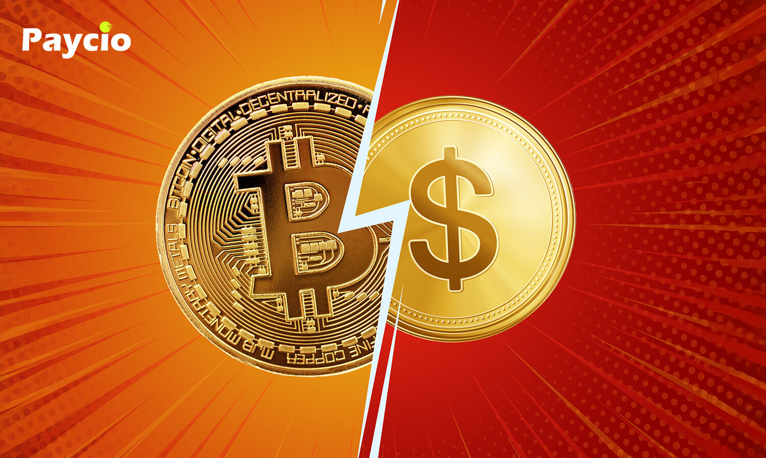 Fiat Money Vs Cryptocurrency: Understanding the Key Differences!