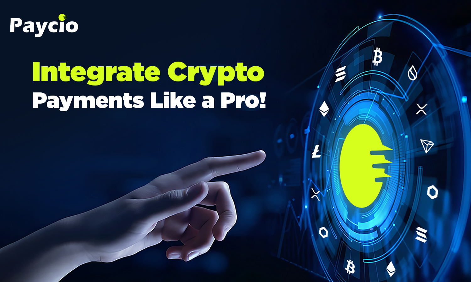 The Ultimate Guide to Mobile Crypto Payment Integration