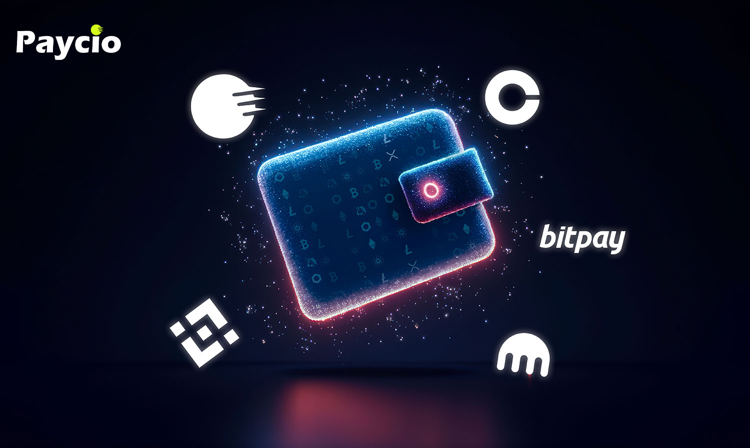 Top Cryptocurrency Payment Apps for Fast and Secure Payments